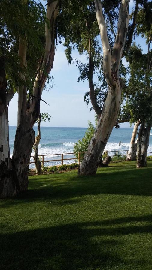 Bahia De La Plata Seafront Διαμέρισμα Εστεπόνα Εξωτερικό φωτογραφία